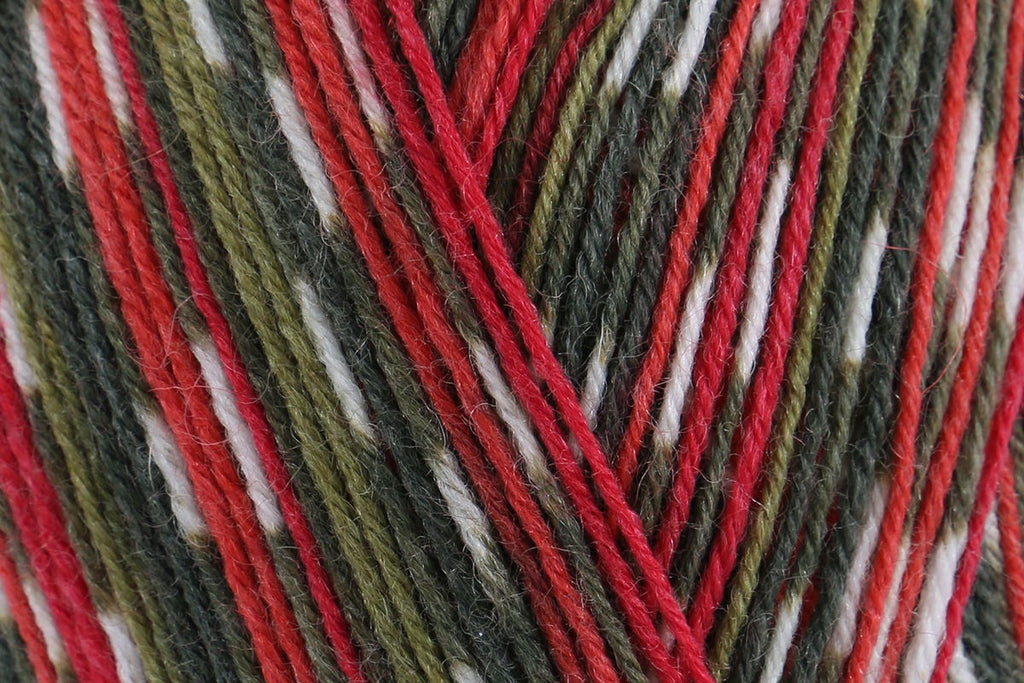 West Yorkshire Spinners Signature 4 Ply Yarn - 100g, Luxury British Wool & Nylon Blend Self Striping Soft Knitting Sock Yarn for Crochet Socks, Shawls & Tops