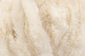 Bernat Velvet Plus Super Chunky Yarn - 300G, 100% Polyester Soft Chenille Luxurious Knitting Wool for Blankets, Cushions, Throws & Home Decor Projects
