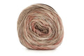 Caron Blossom Cakes Aran Yarn - 227g, Cotton Acrylic Blend Gradient Cake Yarn for Knitting & Crochet, Limited Edition Wool for Shawls, Wraps & Cardigans