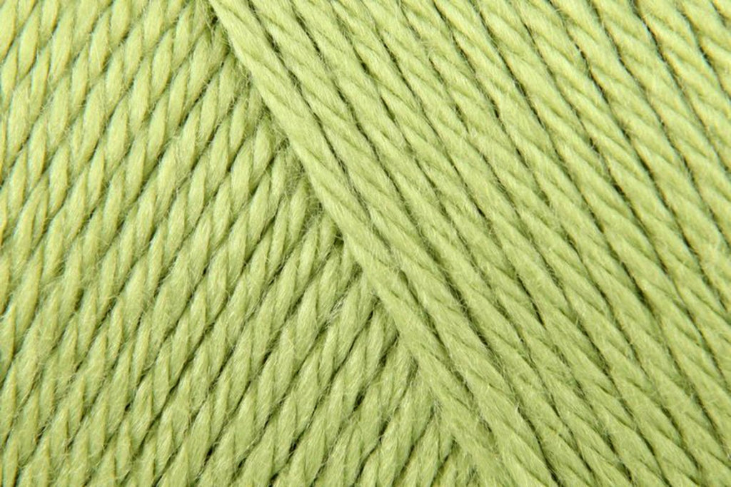 Caron Simply Soft Aran Yarn - 170g, Soft 100% Acrylic Crochet Knitting Wool Yarn for Baby & Adult Clothes & Accessories Projects