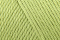 Caron Simply Soft Aran Yarn - 170g, Soft 100% Acrylic Crochet Knitting Wool Yarn for Baby & Adult Clothes & Accessories Projects