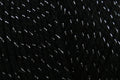 Cygnet Glittery Double Knit (DK) Yarn - 100g, Acrylic Glittery Sparkle Double Knitting Yarn for Festive Garments and Accessories