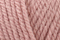 Cygnet Kiddies Supersoft Aran Yarn - 100g, 100% Acrylic Kids Crochet Knitting Yarn for Blankets, Garments & Accessories