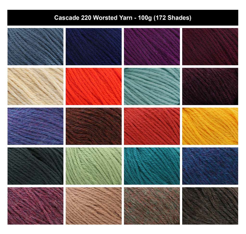 Cascade 220 Worsted Crochet Yarn - 100g, Luxury 100% Highland Wool Easy-To-Work Knitting Wool for Garments, Felting Projects & Accessories