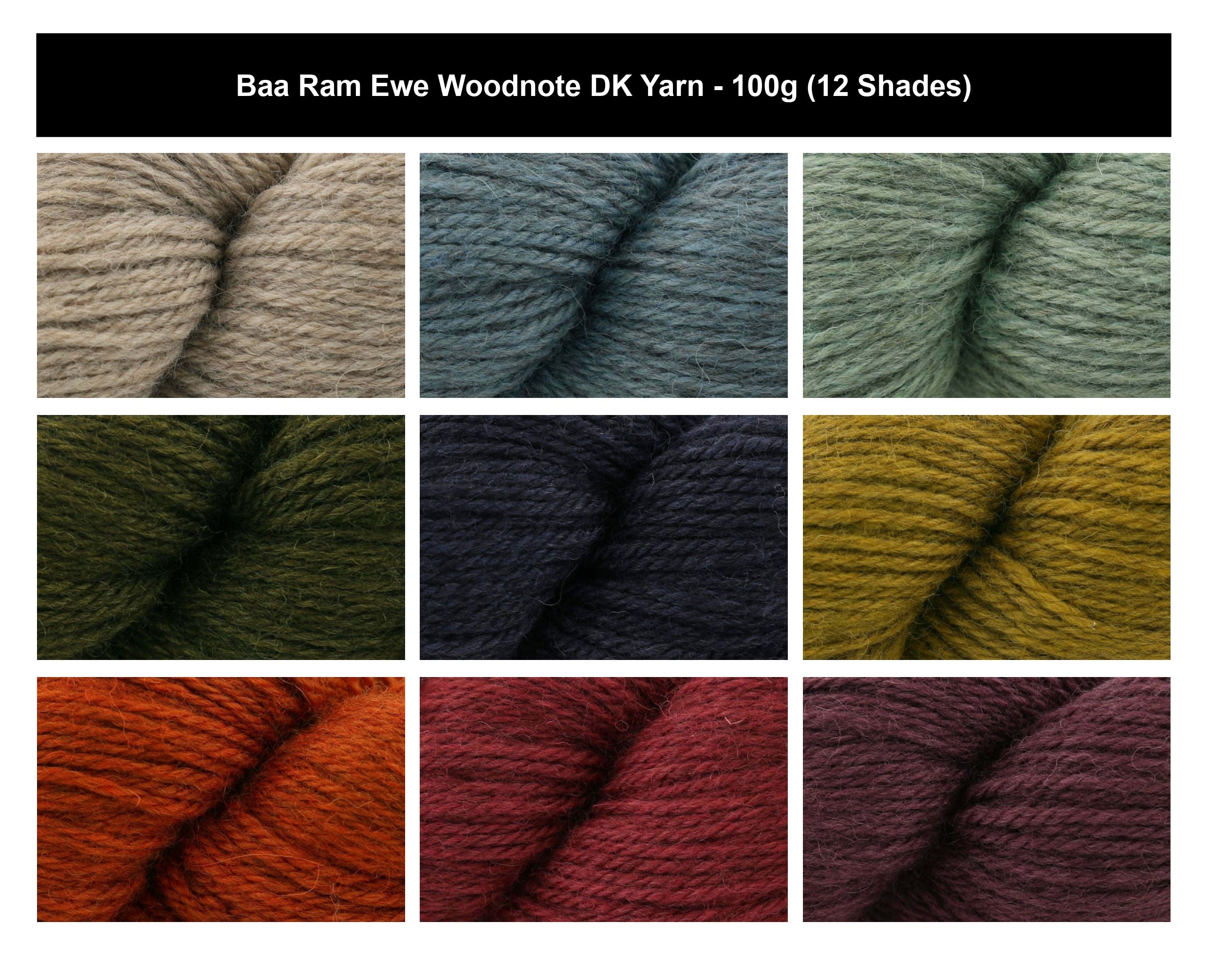 Baa Ram Ewe Woodnote Double Knit DK Yarn - 100g, Luxury 100% Wool British Breed Blend English Woodland Inspired Crochet Double Knitting Yarn for Garments & Accessories