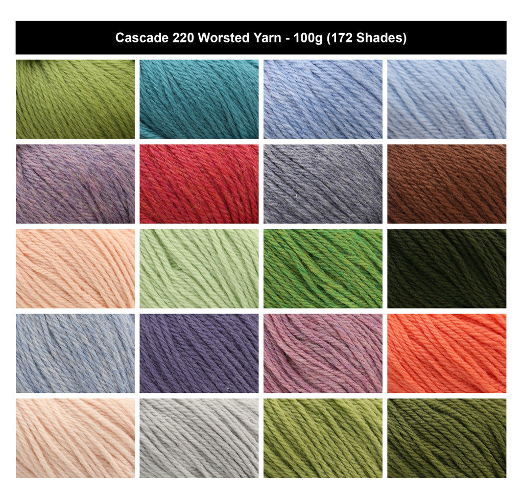 Cascade 220 Worsted Crochet Yarn - 100g, Luxury 100% Highland Wool Easy-To-Work Knitting Wool for Felting Projects, Garments & Accessories