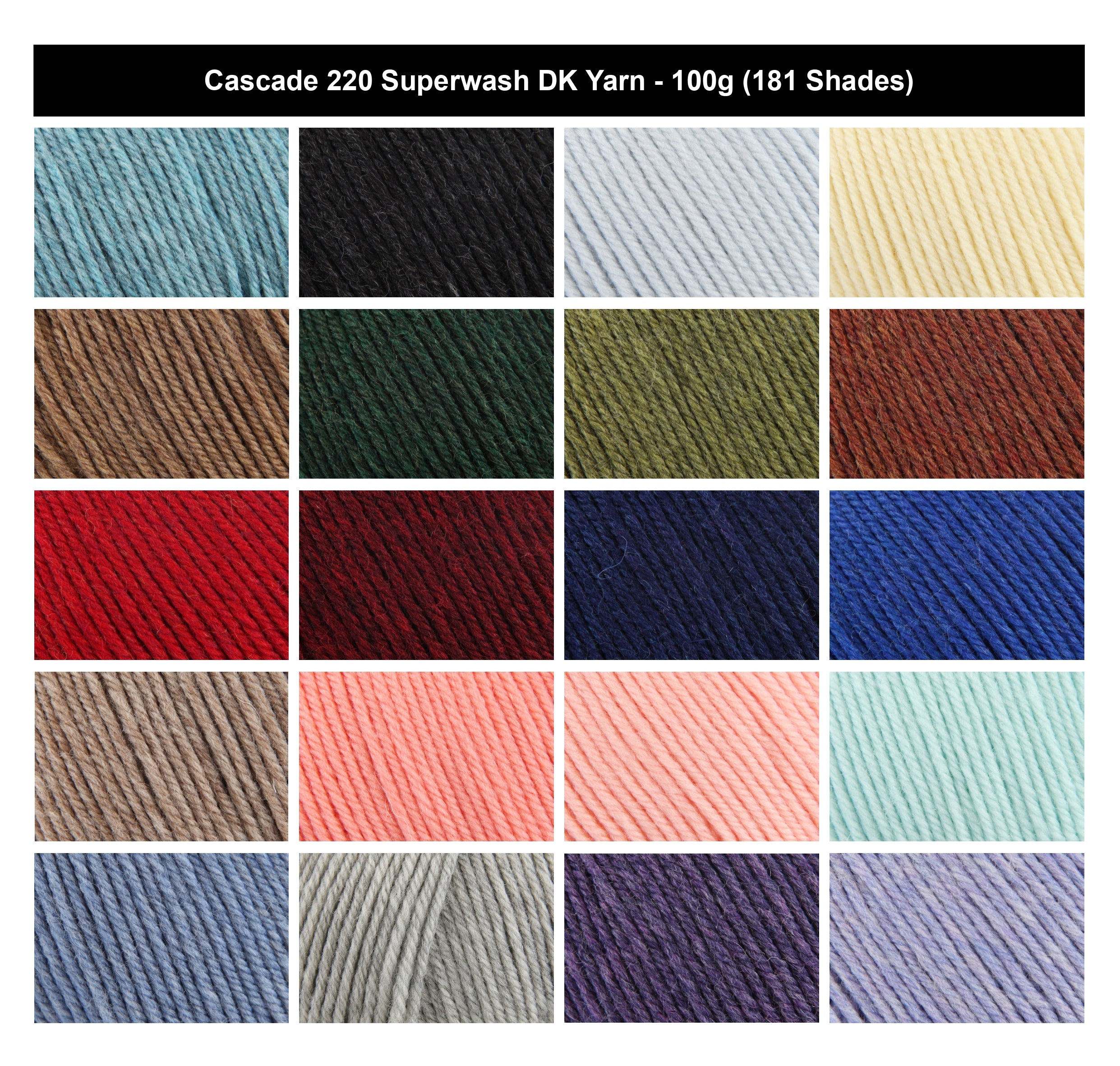 Cascade 220 Superwash DK Yarn - 100g, 100% Superwash Wool Easy-To-Work Double Knitting Yarn for Toys, Blankets & Everyday Accessories