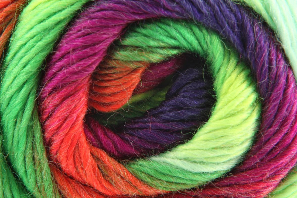 King Cole Riot DK Yarn 30% Wool 70% Acrylic Multicolour Double Knitting 294m – Variegated Knit & Crochet Yarn - 100g