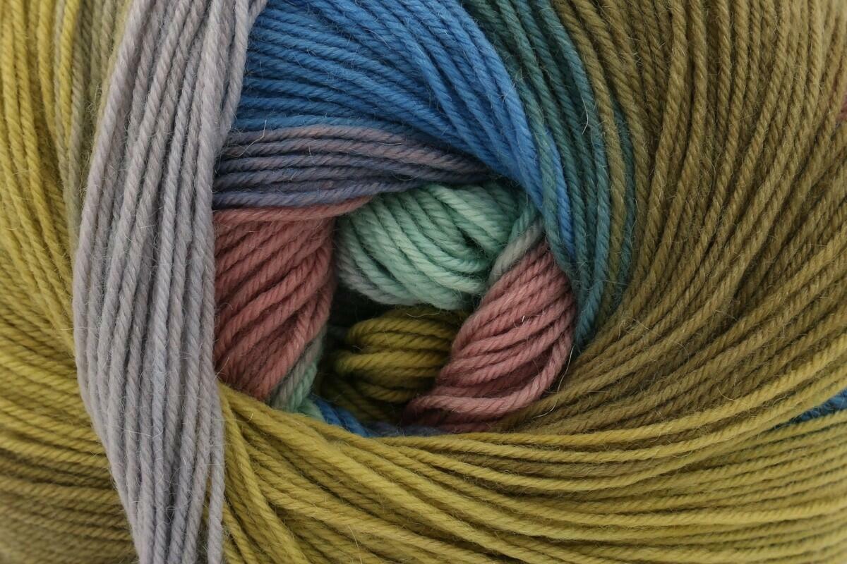 Rico Superba Cashmeri Luxury Socks 4 Ply Yarn - 100G, Wool Cashmere Blend Self Patterning Hard Wearing Soft Sock Knitting Wool for Luxury Bed Socks, Booties & Gloves
