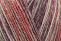 Rico Socks Earth Wind And Fire 4 Ply Yarn - 100G, Polyamide Wool Mix Self Patterning Soft Crochet Yarn Sock Knitting Wool for Luxury Socks, Sweaters & Beanies