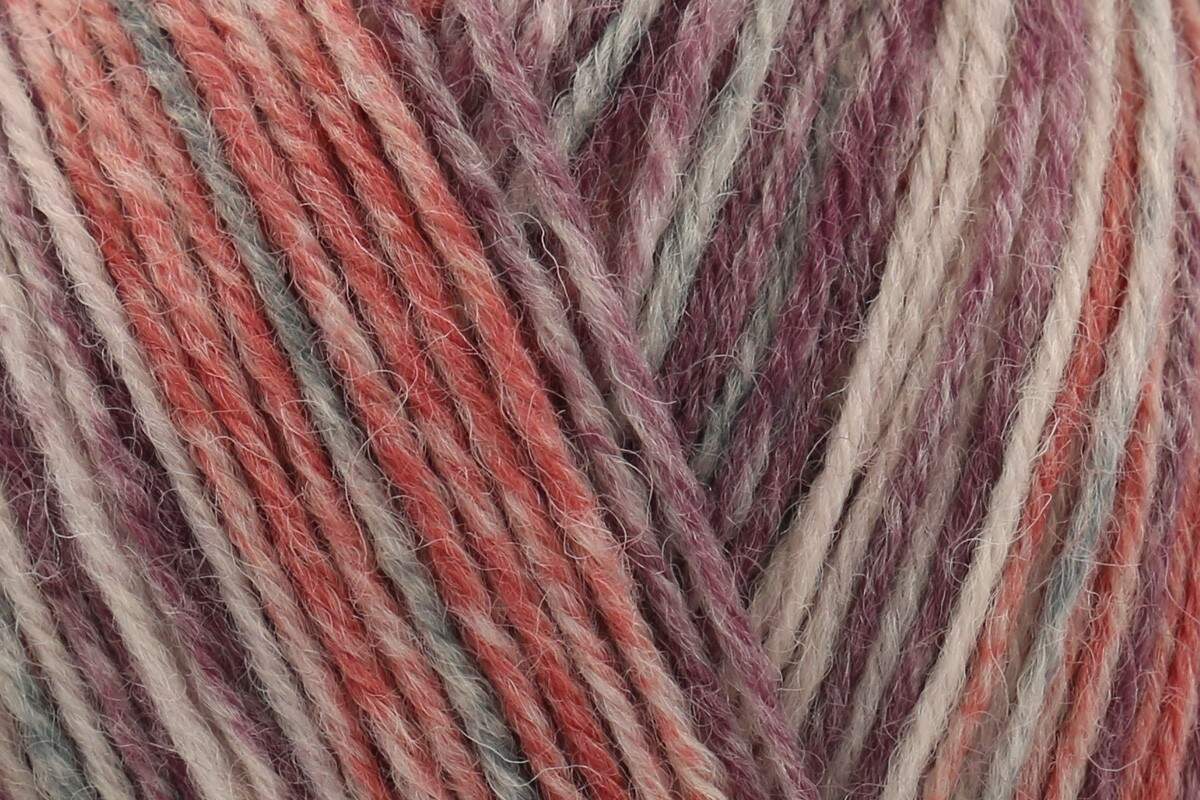 Rico Socks Earth Wind And Fire 4 Ply Yarn - 100G, Polyamide Wool Mix Self Patterning Soft Crochet Yarn Sock Knitting Wool for Luxury Socks, Sweaters & Beanies