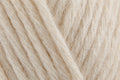 Scheepjes Stone Washed XL Aran Crochet Yarn - 50g, Cotton Acrylic Blend Cozy Knitting Wool With Soft Woolly Feel for Garments, Blankets & Headwear