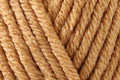 Scheepjes Chunky Monkey Aran Yarn - 100g, 100% Acrylic Anti-Pilling Thick Knitting Crochet Yarn for Blankets, Jumper & Toys