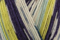 Stylecraft Head Over Heels Walking in Nature Yarn - 100g, 75% Wool, 4 Ply, 100G/396M, 1 Colour, Machine Washable Sock Yarn for Knitting & Crochet