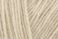 Stylecraft ReCreate Traditional Crochet DK Yarn - 100g, Recycled Wool, Acrylic & Polyester Blend Sustainable Double Knitting Wool for Everyday Garments & Accessories