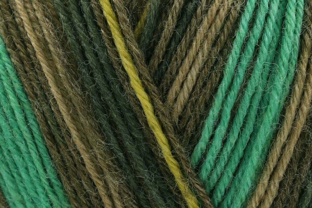 James C Brett Funny Feetz Bamboo Yarn - 100g, Self-Patterning Wool, Bamboo & Polyamide Blend - Soft, Durable Knitting & Crochet Yarn for Socks & Accessories
