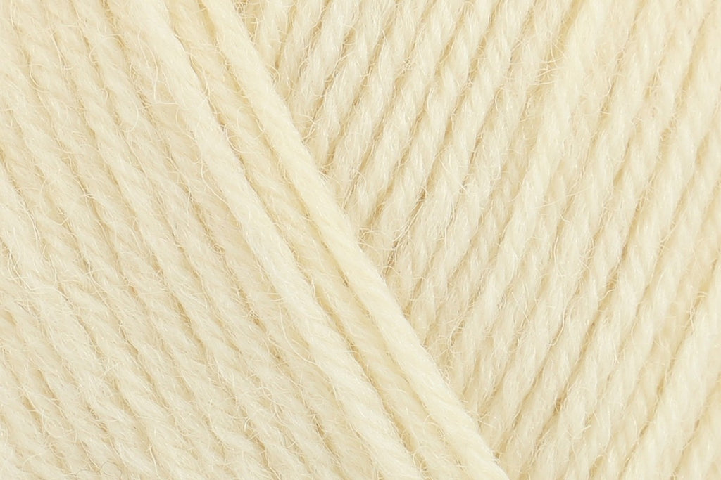 West Yorkshire Spinners Colour Lab DK Yarn - 100g, Luxury 100% British Wool Soft Tweed Double Knitting & Crochet Yarn for Cozy Blankets, Jackets & Jumpers