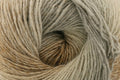 Yarnsmiths Lagoon DK Yarn for Crochet - 100g, 100% Acrylic Single-Ply Roving Self-Striping Variegated Soft Double Knitting Wool for Cosy Shawls & Cardigans